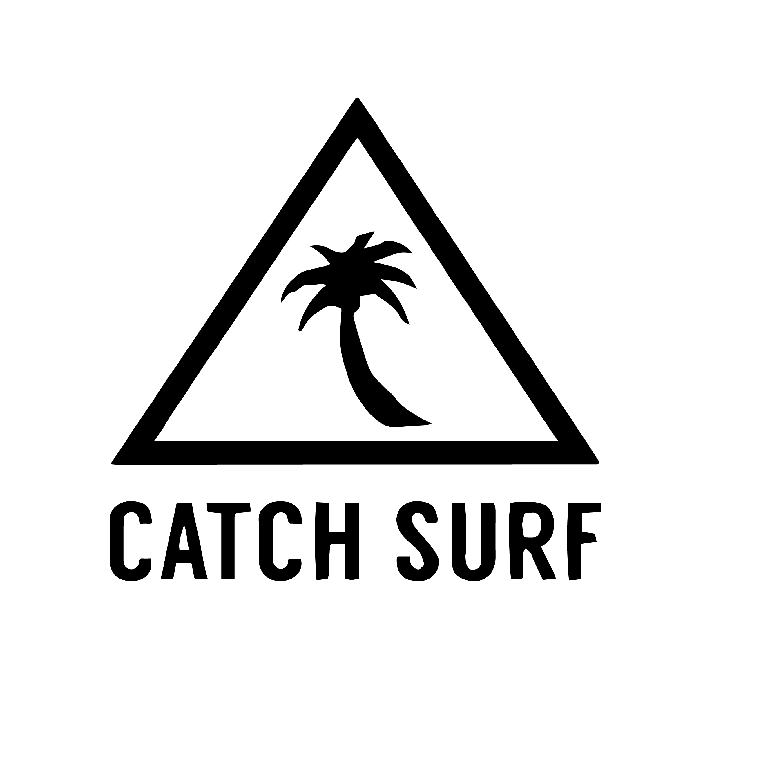 catchsurf